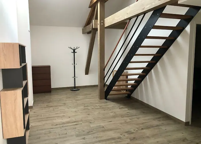 Apartament Elans *